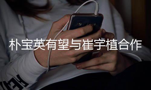 朴宝望与英有影 剧情简介崔宇故事情电植合作爱